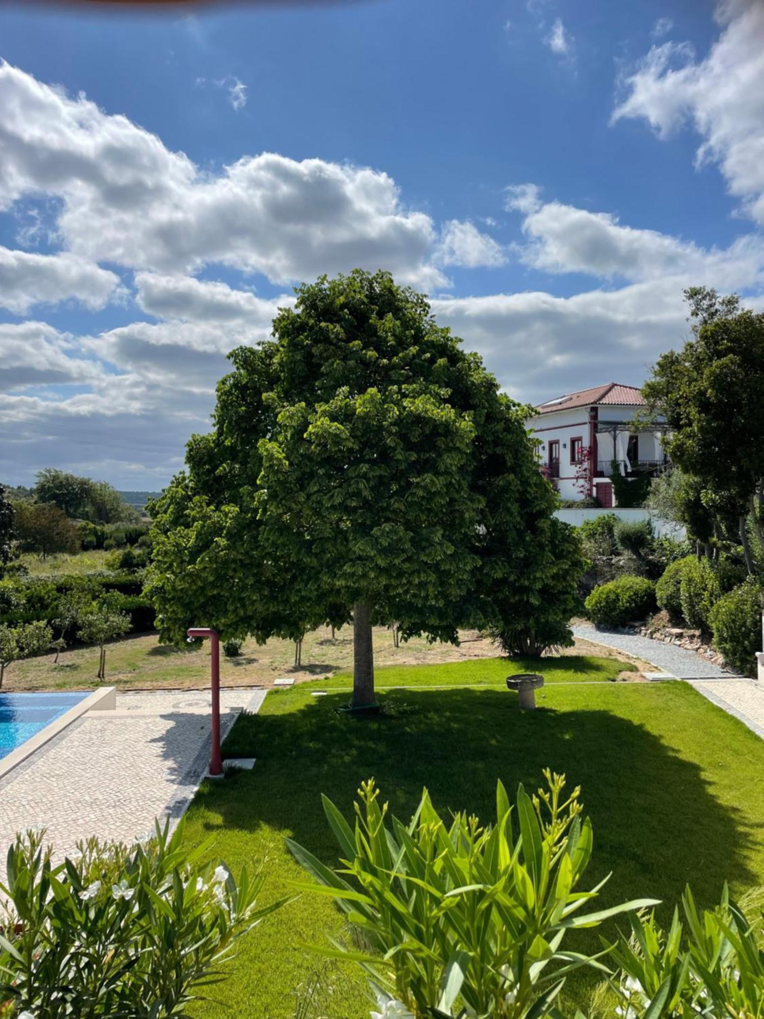 Quinta Da Asneira Apartment Montemor-o-Novo Luaran gambar